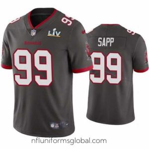 Alluring Warren Sapp Buccaneers Pewter Super Bowl Lv Vapor Limited Jersey